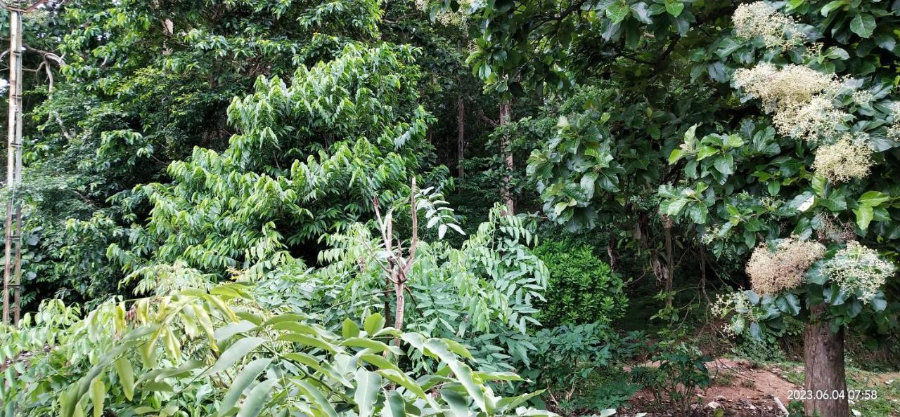 Floral Homestay Thekkady Eksteriør bilde
