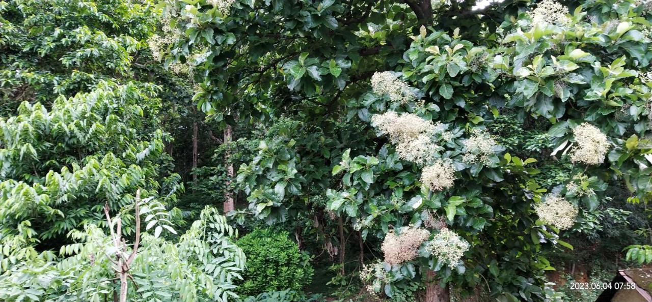 Floral Homestay Thekkady Eksteriør bilde