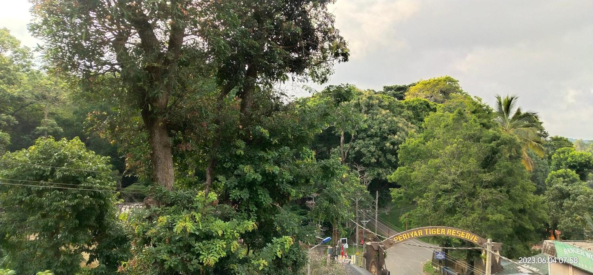 Floral Homestay Thekkady Eksteriør bilde